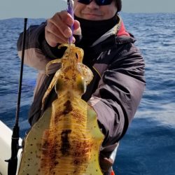 ソルトウォーターガイドフレンズ 釣果