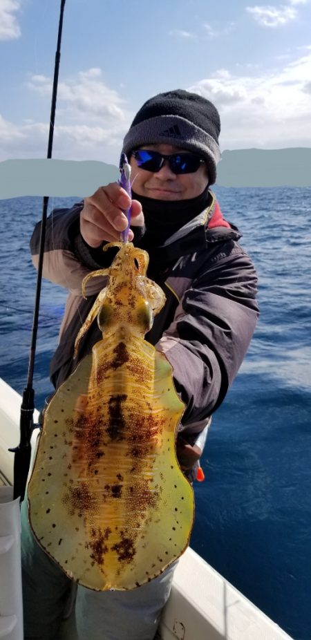 ソルトウォーターガイドフレンズ 釣果