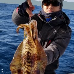 ソルトウォーターガイドフレンズ 釣果