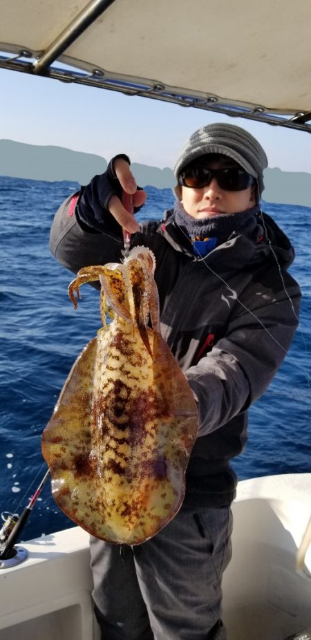 ソルトウォーターガイドフレンズ 釣果