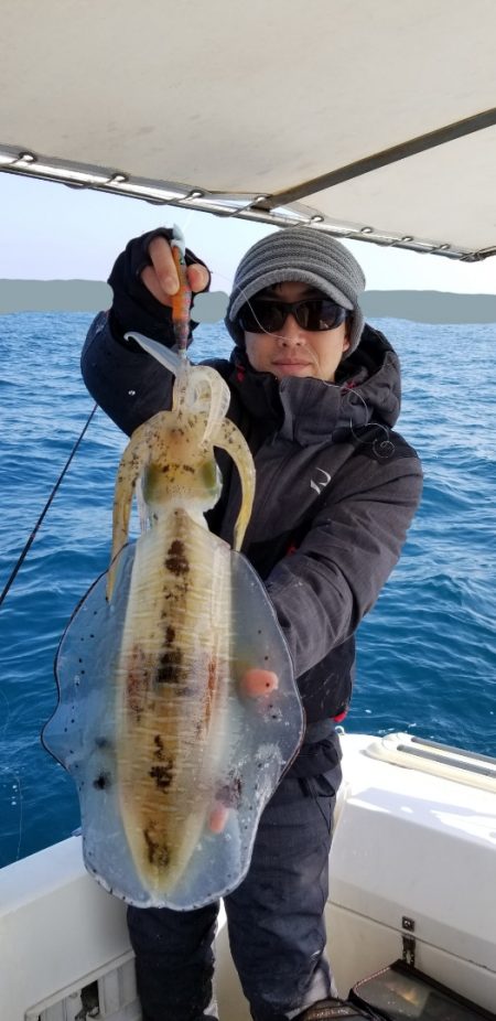 ソルトウォーターガイドフレンズ 釣果