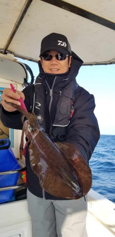 ソルトウォーターガイドフレンズ 釣果