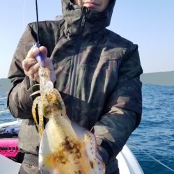 ソルトウォーターガイドフレンズ 釣果