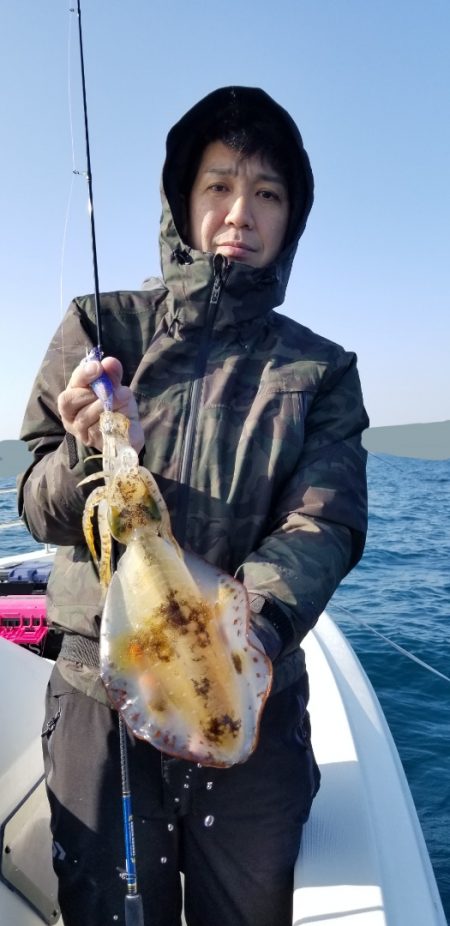 ソルトウォーターガイドフレンズ 釣果