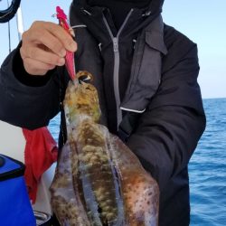 ソルトウォーターガイドフレンズ 釣果