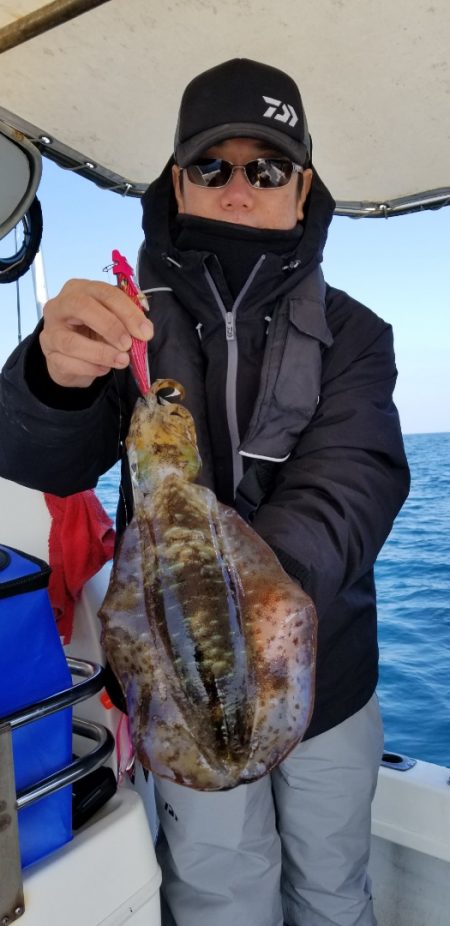 ソルトウォーターガイドフレンズ 釣果