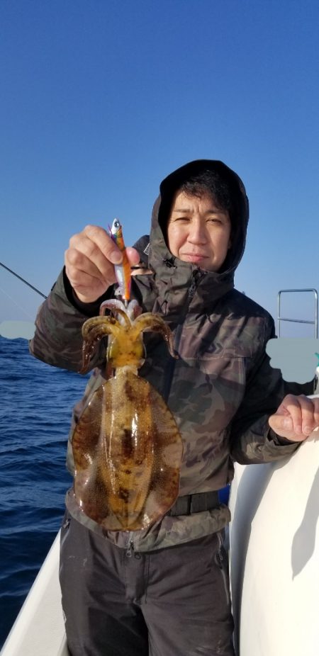 ソルトウォーターガイドフレンズ 釣果