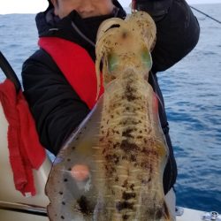 ソルトウォーターガイドフレンズ 釣果