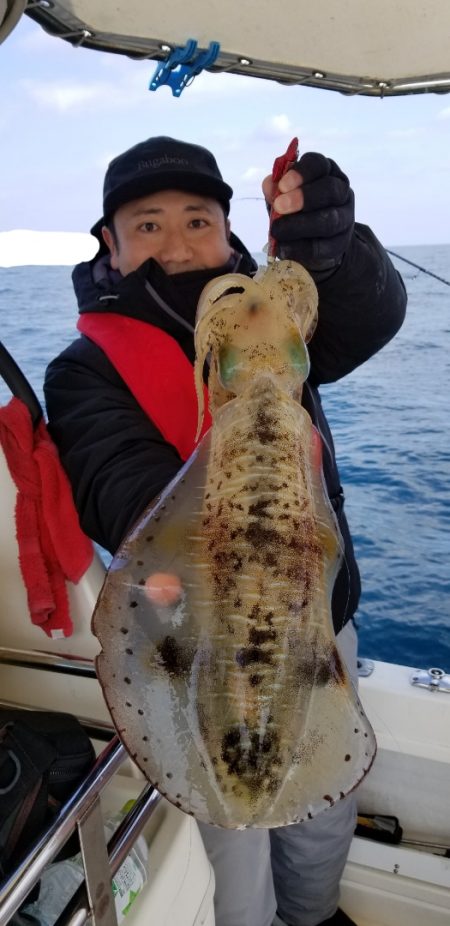 ソルトウォーターガイドフレンズ 釣果