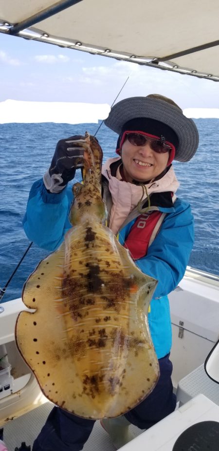 ソルトウォーターガイドフレンズ 釣果