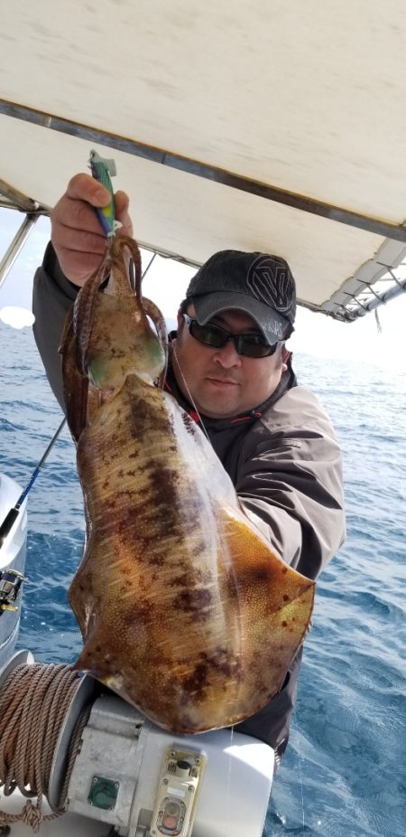 ソルトウォーターガイドフレンズ 釣果