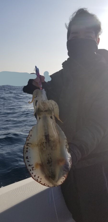 ソルトウォーターガイドフレンズ 釣果