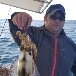 ソルトウォーターガイドフレンズ 釣果