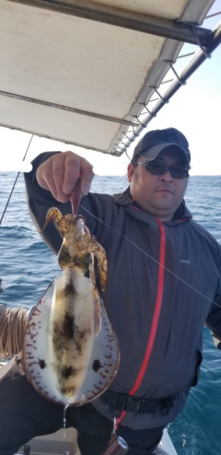 ソルトウォーターガイドフレンズ 釣果