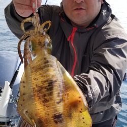 ソルトウォーターガイドフレンズ 釣果