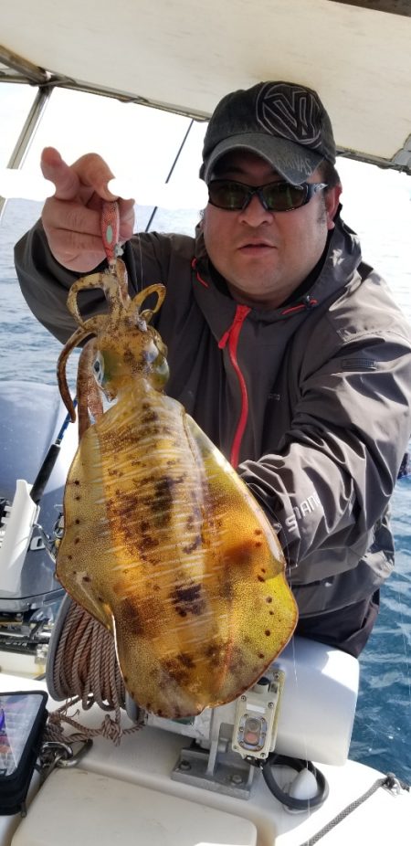 ソルトウォーターガイドフレンズ 釣果