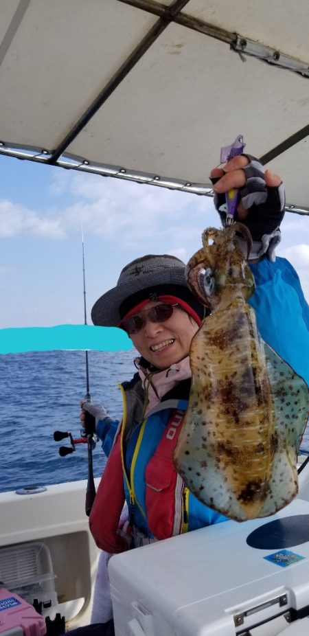 ソルトウォーターガイドフレンズ 釣果