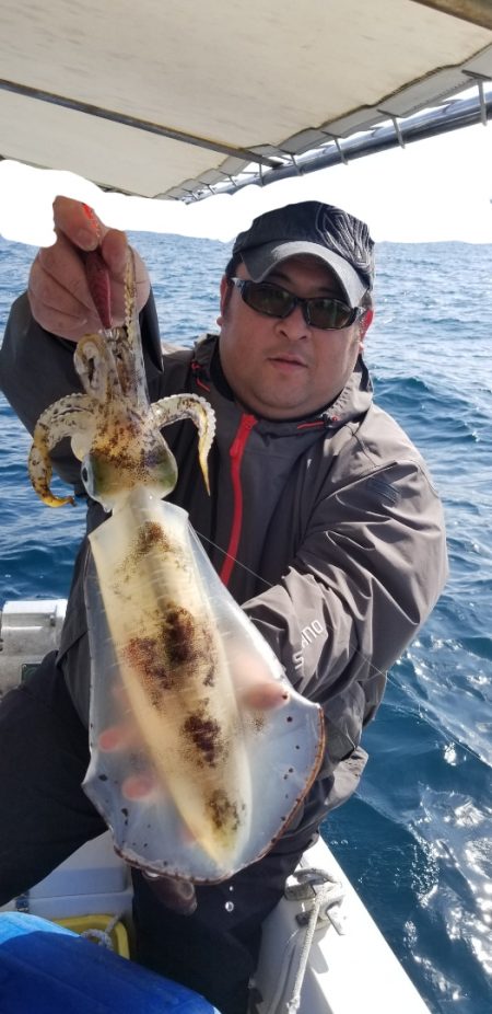 ソルトウォーターガイドフレンズ 釣果