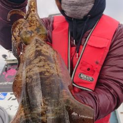 シースナイパー海龍 釣果
