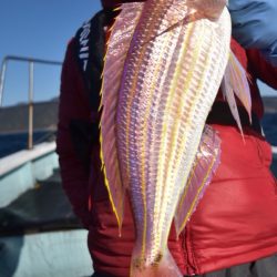 渡船屋たにぐち 釣果