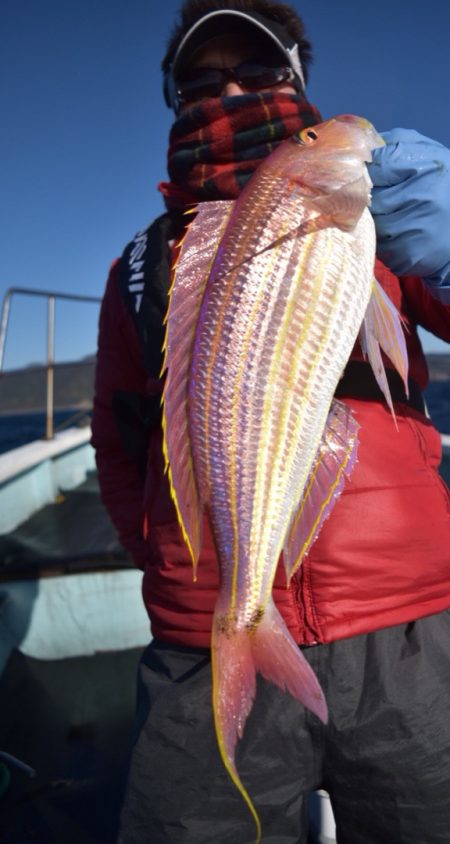 渡船屋たにぐち 釣果