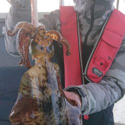 シースナイパー海龍 釣果