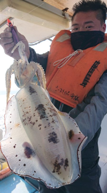 シースナイパー海龍 釣果