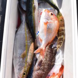 渡船屋たにぐち 釣果