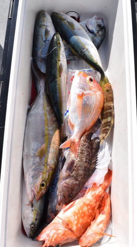 渡船屋たにぐち 釣果