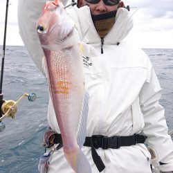 ARCADIAⅡ (アルカディアⅡ) 釣果