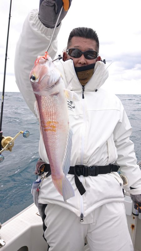 ARCADIAⅡ (アルカディアⅡ) 釣果