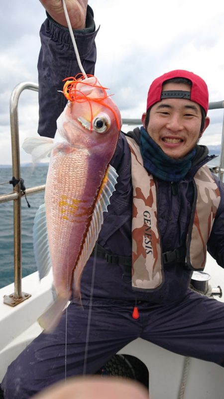 ARCADIAⅡ (アルカディアⅡ) 釣果