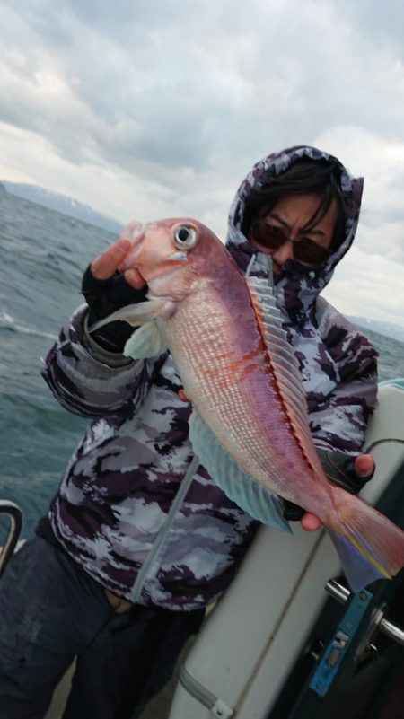 ARCADIAⅡ (アルカディアⅡ) 釣果