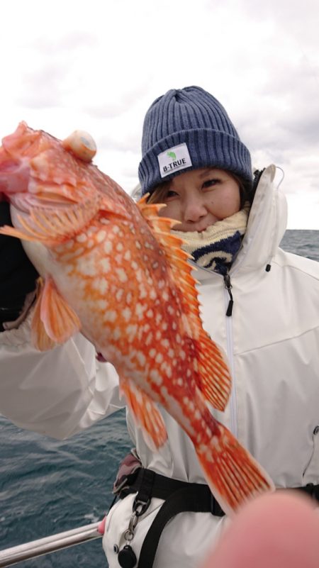 ARCADIAⅡ (アルカディアⅡ) 釣果