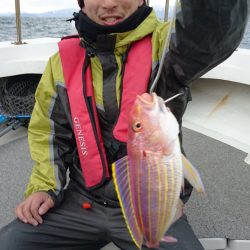 ARCADIAⅡ (アルカディアⅡ) 釣果