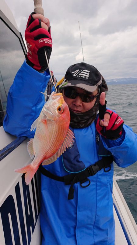 ARCADIAⅡ (アルカディアⅡ) 釣果