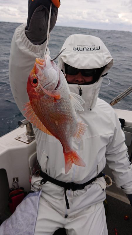 ARCADIAⅡ (アルカディアⅡ) 釣果