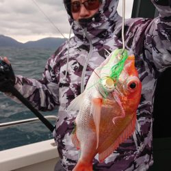 ARCADIAⅡ (アルカディアⅡ) 釣果