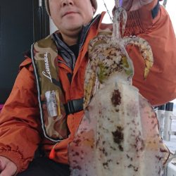 シースナイパー海龍 釣果