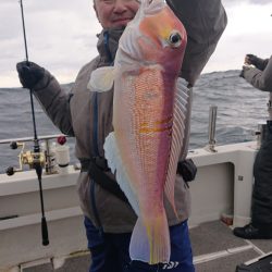 ARCADIAⅡ (アルカディアⅡ) 釣果