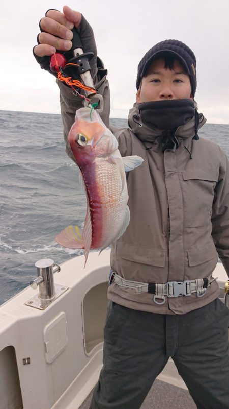 ARCADIAⅡ (アルカディアⅡ) 釣果