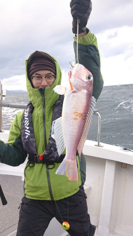 ARCADIAⅡ (アルカディアⅡ) 釣果