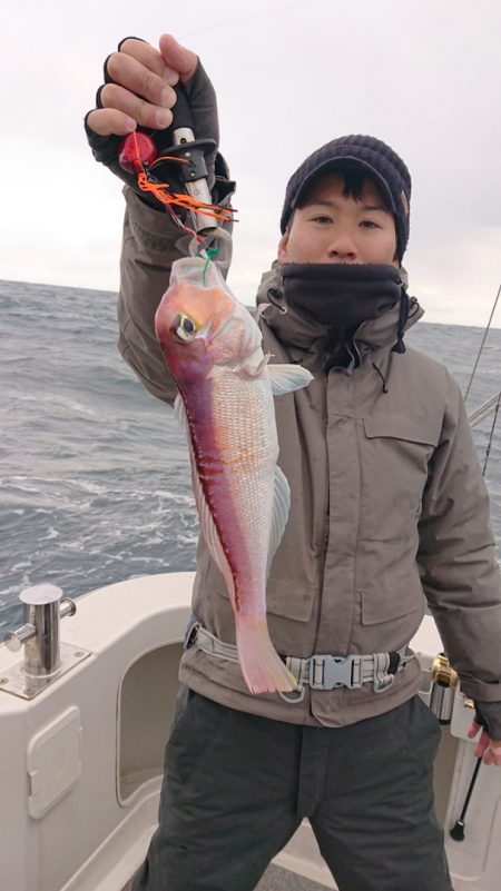 ARCADIAⅡ (アルカディアⅡ) 釣果