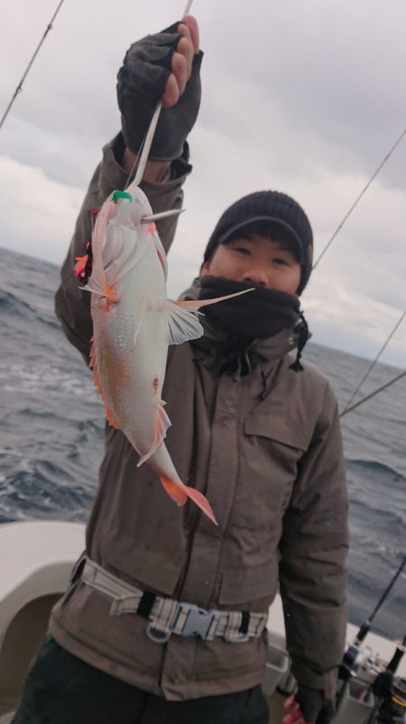 ARCADIAⅡ (アルカディアⅡ) 釣果