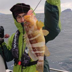 ARCADIAⅡ (アルカディアⅡ) 釣果