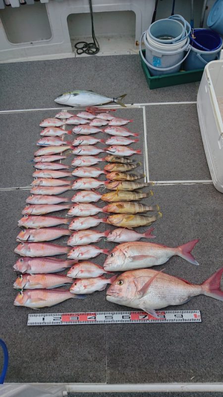 ARCADIAⅡ (アルカディアⅡ) 釣果