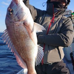だて丸 釣果