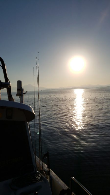 海龍丸(島根) 釣果