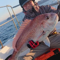 ARCADIAⅡ (アルカディアⅡ) 釣果