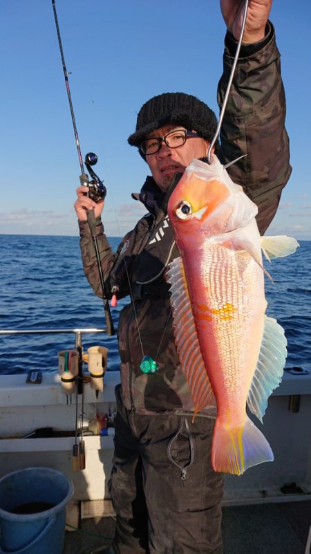 ARCADIAⅡ (アルカディアⅡ) 釣果